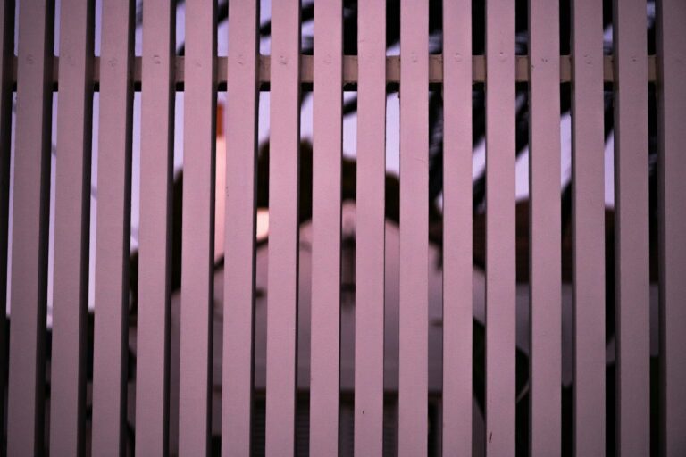 white wooden fence during daytime